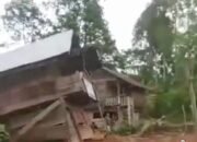 Tim Gabungan Berhasil Giring Kawanan Gajah Kembali ke Hutan, Belasan Rumah Warga Sempat diRusak