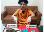 Satres Narkoba Polres Kampar Meringkus Seorang Mahasiswa Edarkan Daun Ganja Kering .