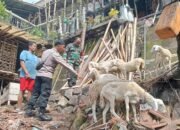 Peran Babinsa Joyotakan & Bhabinkamtibmas Bantu Cegah PMK