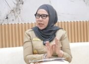 Kadisbudpar Langkat Klarifikasi Isu Tenda Berbayar di HUT Ke-275 Kabupaten Langkat