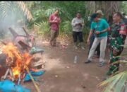 Kodim 0209/LB dan Polres Labuhanbatu Gerebek Sarang Narkoba di Pulo Dogom, 20 Orang Diamankan