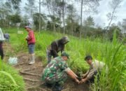 TNI Polri Dan Petugas Gabungan Lakukan Penanaman Pohon Endemik Dijalur Pendakian Gancik