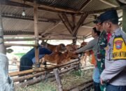 Polsek Gampengrejo Melaksanakan Pendampingan Pemberian Vaksin Terhadap Hewan Ternak