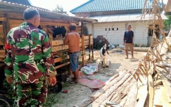 Babinsa Kemusu Berbagi Ilmu Dengan Peternak Desa Ketoyan