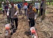 Ketua DPD HKTI Jatim Apresiasi Kapolsek Ambulu Polres Jember Sukseskan Program Ketahanan Pangan