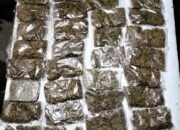 Satgas Yonif 131/Brajasakti Kembali Berhasil Amankan Ganja Seberat 1.890 gram di Perbatasan Papua