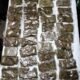 Satgas Yonif 131/Brajasakti Kembali Berhasil Amankan Ganja Seberat 1.890 gram di Perbatasan Papua