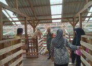 Babinsa Simo Motivasi Peternak Kambing Desa Kedunglengkong