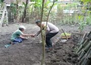 Wujudkan Ketahanan Pangan, Bhabinkamtibmas Polres Nganjuk Ajak Warga Manfaatkan Lahan Sela