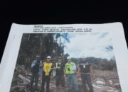 Penyerobotan Lahan Warga kembali Terjadi di Desa Paring Lahung Kec,Montalat Kabupaten Barito Utara