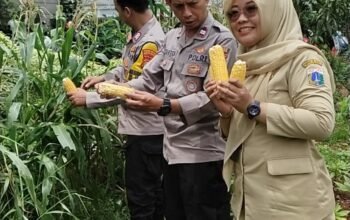 Kolaborasi Polri, Dinas KPKP, dan Poktan 53 Bonjer: Panen Perdana di Kebun Bergizi