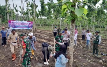 Polresta Banyuwangi Bersama Kelompok Tani Tanam Jagung Serentak Gelorakan Swasembada Pangan