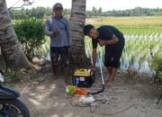 Fakultas Pertanian Unand Padang Mengutus Mahasiswa nya Kenagari DKDS Tj Mutiara Agam