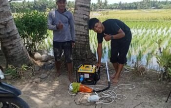 Kementrian Pendidikan Tinggi Sains dan Teknologi Universitas Andalas Fakultas Pertanian Padang Mengutus Mahasiswanya ke Nagari DKDS Tj Mutiara Agam Untuk Penelitian dan Pengambilan Sampel Hama Wereng