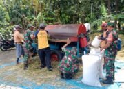 Musim Panen Padi Tak Lepas Dari Perhatian Babinsa Pilangsari