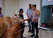 Polres Bondowoso Berhasil Temukan dan Kembalikan 3 ekor Sapi yang Hilang Pemilik Tersenyum Riang