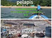 Perbandingan Perusahan Kecil Di Desa Pagar Mentimun Dan Perusahaan Terbesar Di Desa Pelapis.