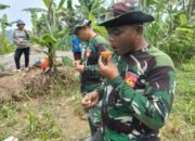 Satgas Dapat Dukungan Logistik Hasil Bumi Warga