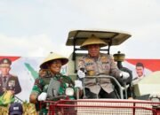 Irwasum Polri Pimpin Panen Jagung Serentak di Madiun, Wujudkan Astacita