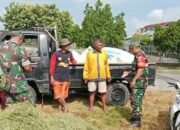 Babinsa Guworejo Dorong Petani Jual Gabah Ke Bulog