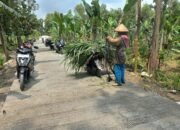 Mencari Rumput Ternak Jadi Lebih Mudah