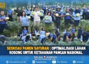 Seskoau Panen Sayuran : Optimalisasi Lahan Kosong untuk Ketahanan Pangan Nasional