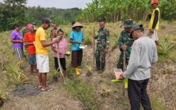 Satgas TMMD Tanam Jagung 2 Hektar