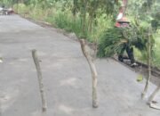 Betonisasi Jalan Hampir 100%