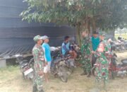 Babinsa Berkomunikasi Dengan Kelompok Tani, Panen Raya Berbuah Manis