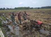 Babinsa Bantu Penyiapan Lahan Untuk Tanam Padi