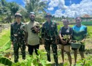 Mendukung Program Pemerintah Dalam Ketahanan Pangan, Satgas Yonif 131/BRS Manfaat Lahan Kosong Bersama Masyarakat di Perbatasan Papua