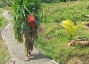 Senangnya Warga Desa Kalinanas Sebagian Jalan Sudah Bisa Digunakan