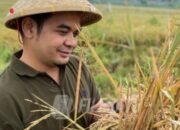 Bulog Karawang Gandeng TNI AD dan PPL Gercep Serap Gabah Langsung ke Petani