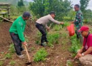 Polres Nganjuk Bersama Warga Tani Kembali Tanam Jagung Wujudkan Ketahanan Pangan Berkelanjutan