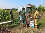 Babinsa Sawit Terjun Langsung Bantu Petani Desa Manjung