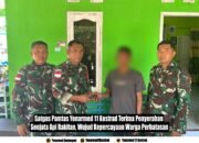 Satgas Pamtas Yonarmed 11 Kostrad Terima Penyerahan Senjata Api Rakitan, Wujud Kepercayaan Warga Perbatasan