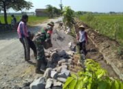 Babinsa Ngemplak Dan Warga Bangun Talud di Persawahan Desa Dibal