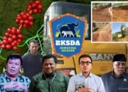 BKSDA Sumsel Susun Laporan ke Kementerian Terkait Alat Berat Milik Wakil Ketua DPRD Lampung Barat di Kawasan SM Gunung Raya