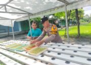 Gelorakan Swasembada Pangan, Polisi di Sidoarjo Ajak Warga Kembangkan Tanaman Hidroponik