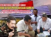Dugaan Mafia Hutan Lampung-Sumsel Kian Menggurita, Germasi Resmi Laporkan Oknum DPRD hingga Aparat Kehutanan ke Kejagung