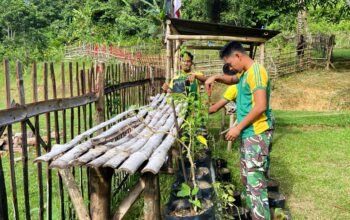 Satgas Pamtas Yonarmed 11 Kostrad Wujudkan Kemandirian Pangan di Lumbis Hulu, Nunukan
