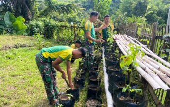 Satgas Pamtas Yonarmed 11 Kostrad Wujudkan Kemandirian Pangan di Lumbis Hulu, Nunukan