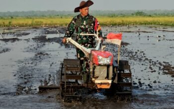 Ketahanan Pangan Nasional Sebagai Diplomasi Strategis Global