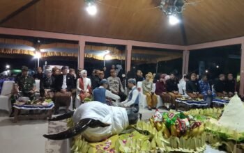 Sedekah Gunung Merapi Tradisi Unik Dan Kental Budaya Jawa