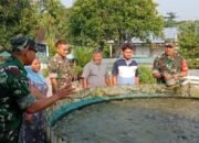 Babinsa Berbagi Ilmu dan Semangat, Kunjungi Peternak Lele