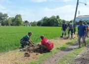 Koramil Karangmalang Sukseskan Penanaman Pohon, Hijaukan Jalan Kel. Kroyo