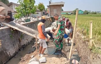 Gotong Royong Babinsa dan Warga Bangun Irigasi Sawah di Banyudono