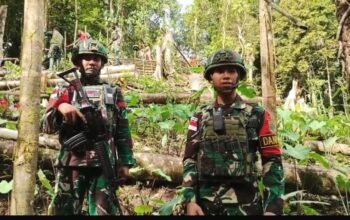 Satgas Pamtas Yonif 763/SBA Pos Afkrem Bantu Warga Buat Pagar Kebun di Kampung Afkrem