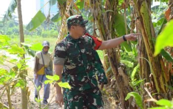 Dansatgas TMMD Reguler Ke-125 Kodim 0735/Surakarta Tinjau Kesiapan Lahan Ketahanan Pangan di Lokasi TMMD
