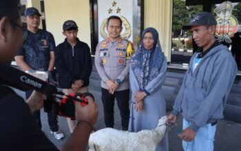 Polres Bondowoso Amankan Tersangka Curwan, Barang Bukti Kambing Diserahkan Kembali ke Pemilik